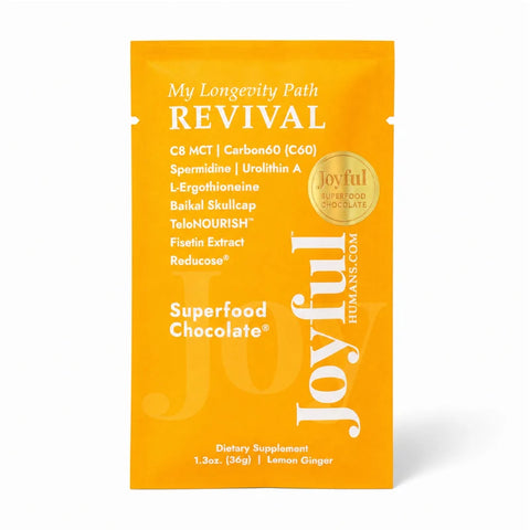 Joyful Bar Revival